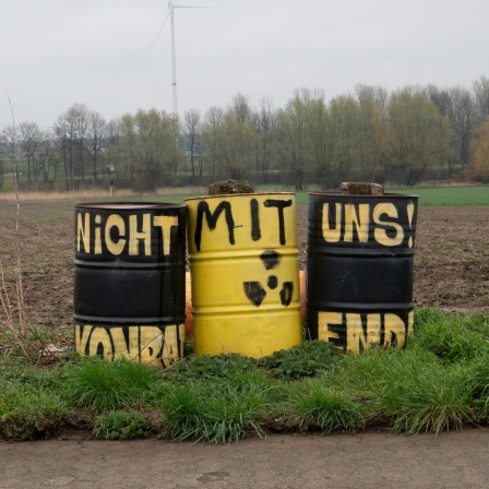 Drei Fässer mit einem Atomsymbol und der Aufschrift "Nicht mit uns" stehen als Protestaktion auf einem Feld in der Ortschaft Bleckenstedt bei Salzgitter in der Nähe von Schacht Konrad. 