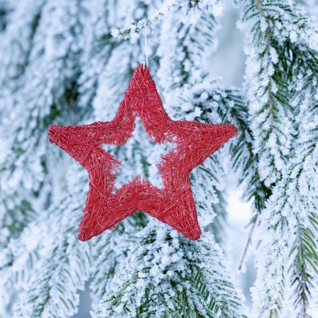 Eine sternförmige Weihnachtsdekoration, die an einem schneebedeckten Baum hängt.