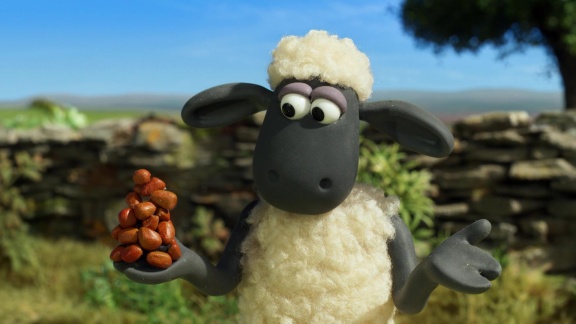 Shaun, Das Schaf - Eine Harte Nuss