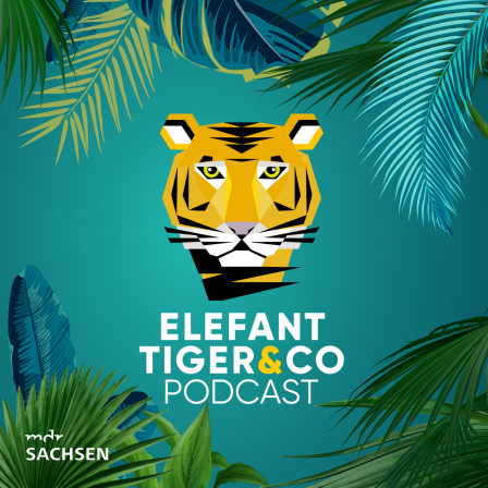 Podcast Elefant Tiger und Co