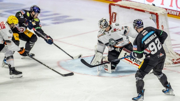 Sportschau - Eisbären Berlin Dominieren Auch Die Löwen