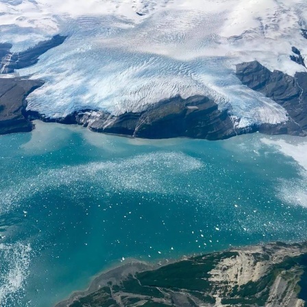 Icy Bay in Alaska