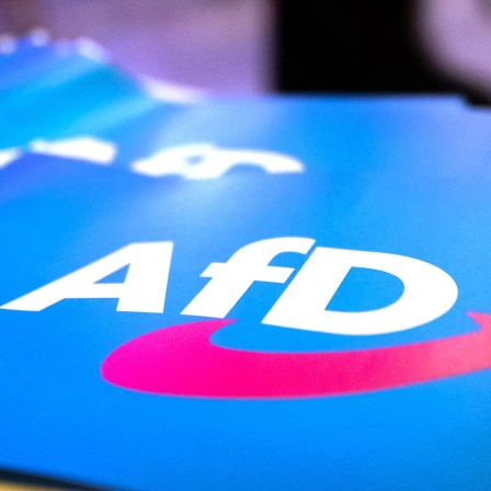 Kleine Papier-Flaggen mit Logo der AfD liegen auf einem Tisch. 