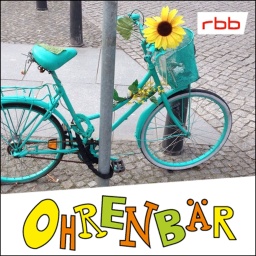 Ein mintfarbenes Fahrrad an einem Straßenpfeiler angeschlossen, im Korb am Lenker ist eine große Sonnenblume (Quelle: rbb/OHRENBÄR/Birgit Patzelt)