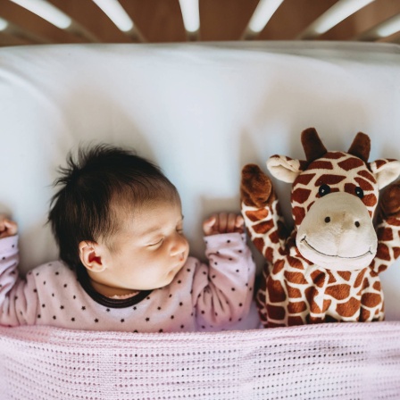 Baby schläft im Bett, neben sich eine Plüschgiraffe: Das seelische und körperliche Schlafgeschehen wird im Verlauf der Moderne kulturell geformt und gesellschaftlich instrumentalisiert.