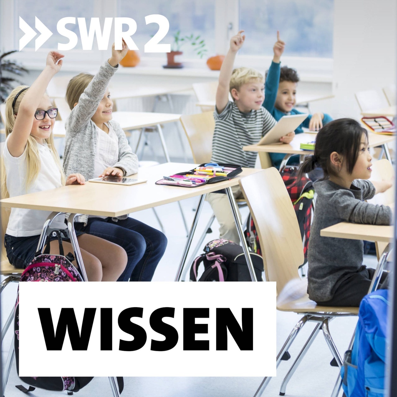 Das Wissen · Schule ohne Noten - Verstehen statt sturem Pauken ...