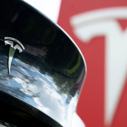 Das Tesla-Logo ist hinter einem Auto der Marke zu sehen (Bild: picture alliance/dpa/Sebastian Gollnow)