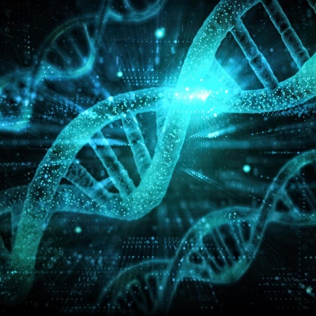 Visualisierung einer Doppelhelix