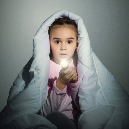 Ein Mädchen sitzt unter einer Decke und hält eine Taschenlampe in der Hand