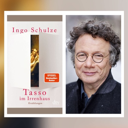 Ingo Schulze - Tasso im Irrenhaus