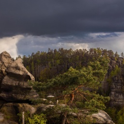 Sächsische Schweiz: Aussicht vom Carolafelsen auf die Schrammsteinkette, den Falkenstein und den Lilienstein. Bad Schandau, Sachsen, Deutschland.