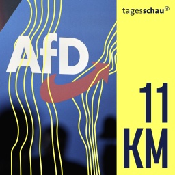 Blick in die Halles beim Bundesparteitag der AfD. 
