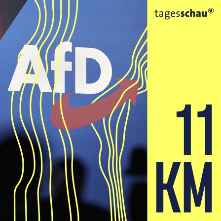 Blick in die Halles beim Bundesparteitag der AfD. 
