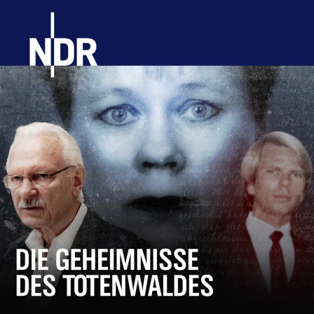 Podcastbild "Die Geheimnisse des Totenwaldes".