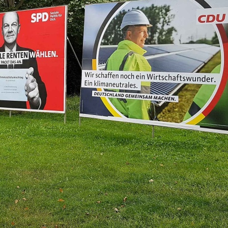 Wahlplakate von Linke, Grüne, SPD und CDU zur Bundestagswahl 2021 stehen auf einer Grünfläche am Gothaer Platz in Erfurt