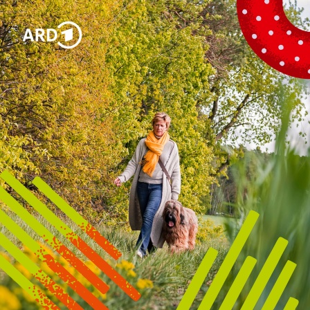 Ein Mensch geht allein in der Natur mit einem Hund spazieren | Bild: IMAGO / Westend61 / Bildmontage BR