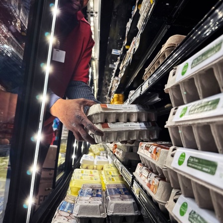 Eier im Supermarkt