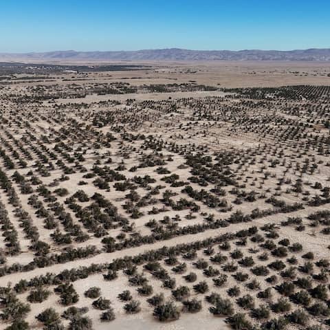 Atacama-Wüste in Chile