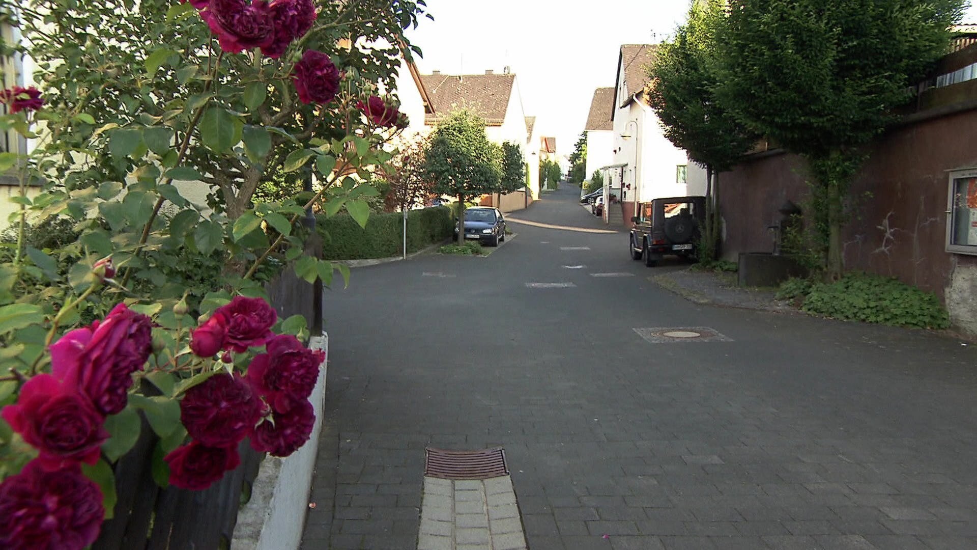 Hierzuland Die Langgasse in Holzhausen an der Haide ARD Mediathek