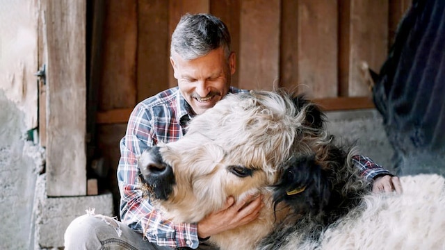 Porträt von Joar mit einer Kuh und einem Kalb.