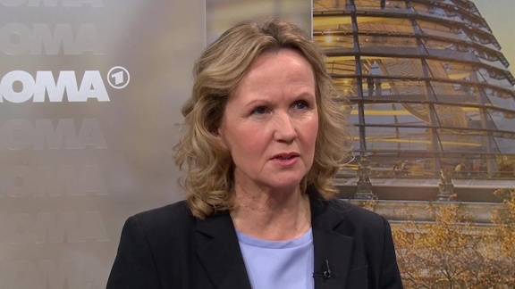 Tagesschau24 - 'klar Ist, Dass Klimaschutz Fortgesetzt Werden Muss', Steffi Lemke, Bundesumweltministerin, Zur Weltklimakonferenz Cop28