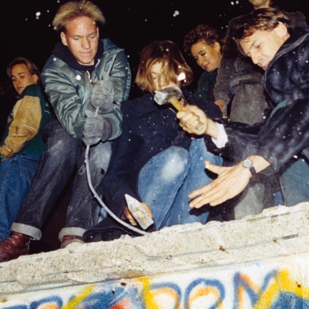 West-Berliner versuchen am 10.11.1989 die Berliner Mauer einzureißen.