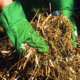 Gehaeckselte Gartenabfälle werden auf den Kompost gegeben. Richtig kompostieren: Es ist wichtig zu wissen, wie ein guter Kompost im eigenen Garten angelegt wird.