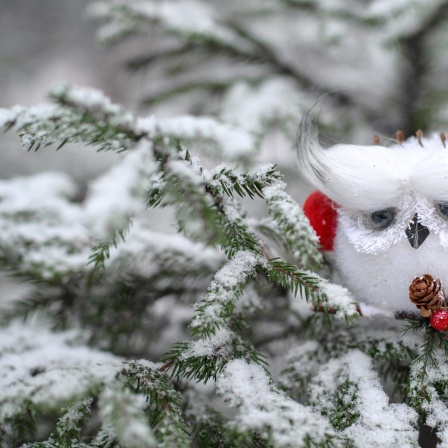 Deko-Eule mit roten Kopfhörern auf einem Zweig des Weihnachtsbaums