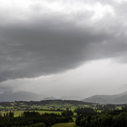 Regen