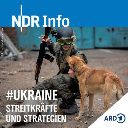 Ein ukrainischer Soldat streichelt zwei streundende Hunde