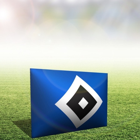 Die Logos des Fussballvereins HSV auf grünem Rasen.