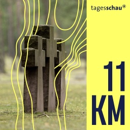 Drei Steinkreuze im Soldatenfriedhof, Waldfriedhof Halbe, eine der größten Kriegsgräberstätten Deutschlands für 28.000 Opfer des Zweiten Weltkriegs.