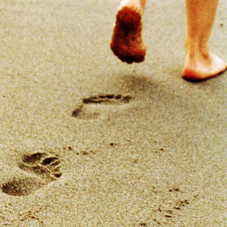 Frauenfüße und Fußspuren im Sand
