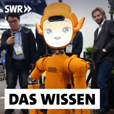 Der Roboter Mirokaï von Enchanted Tools wird am 8. Januar 2025 auf der Consumer Electronics Show (CES) 2025 in Las Vegas vorgestellt: Die rasante Entwicklung der künstlichen Intelligenz (KI) ermöglicht nun Roboter, die lernfähig sind und sich mithilfe der neuen Sprachtechnologien mit uns unterhalten können. Werden sie unsere neuen Gefährten?