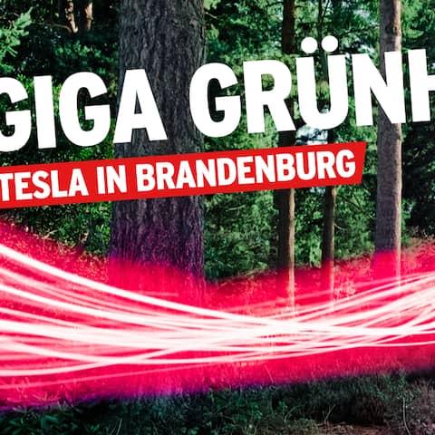 rbb|24-Podcast zur Gigafactory: "Giga Grünheide – Tesla in Brandenburg" (Bild: rbb)