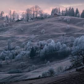 Auf dem Bild ist ein Dorf mit Hügeln  bei Sonnenuntergang zu sehen. Auf den Bäumen ist Raureif.