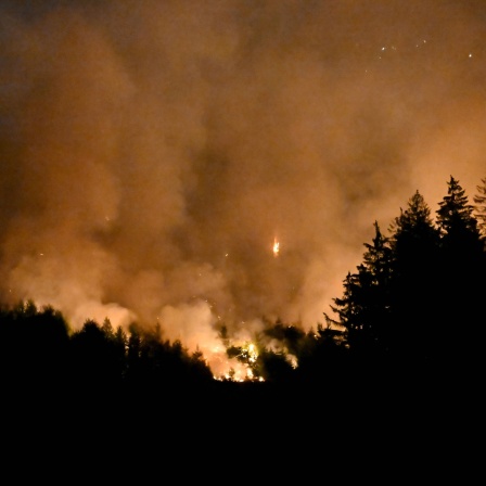Waldbrand in Attendorn