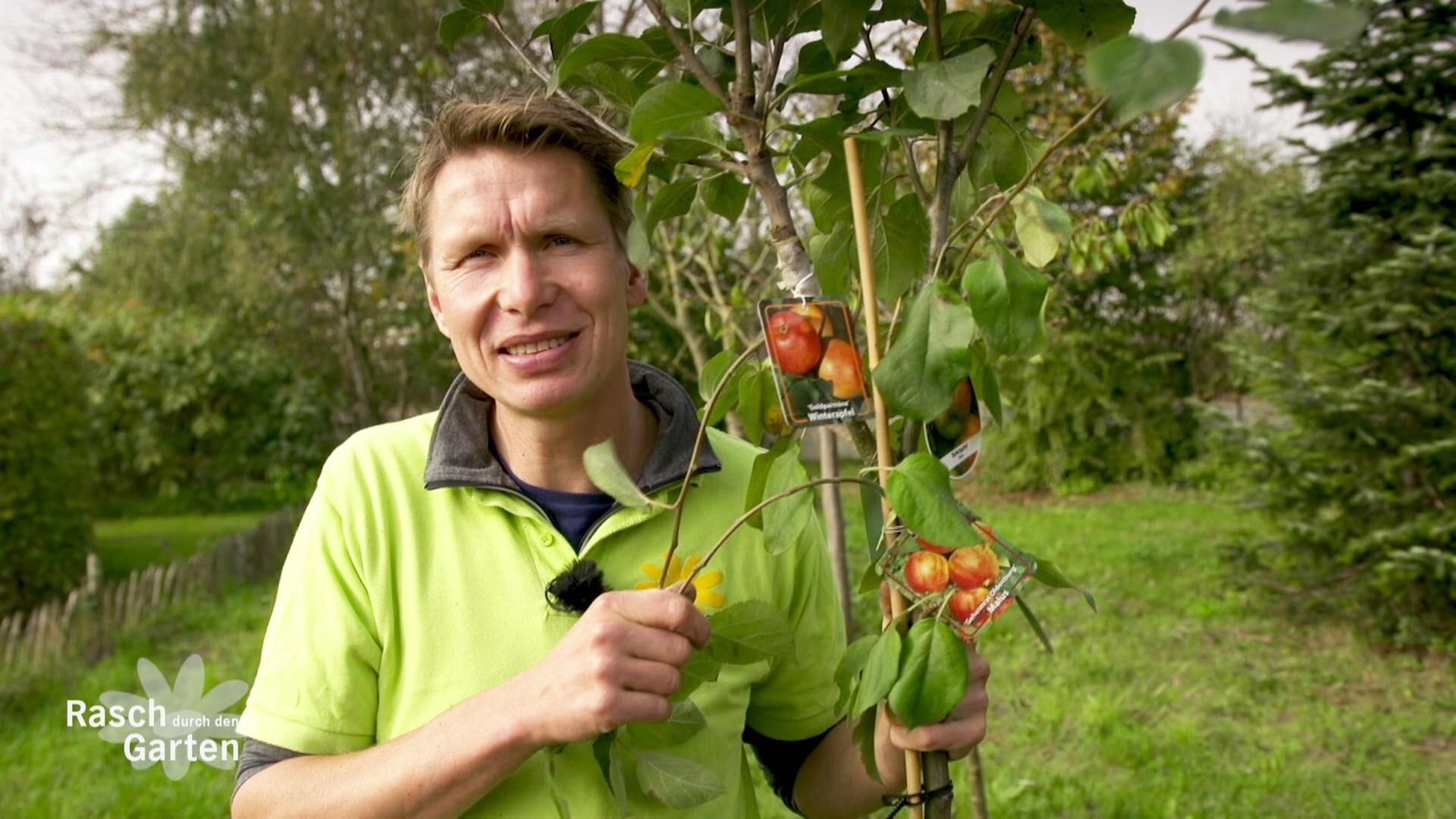 Rasch durch den Garten Obstbäume pflanzen ARD Mediathek