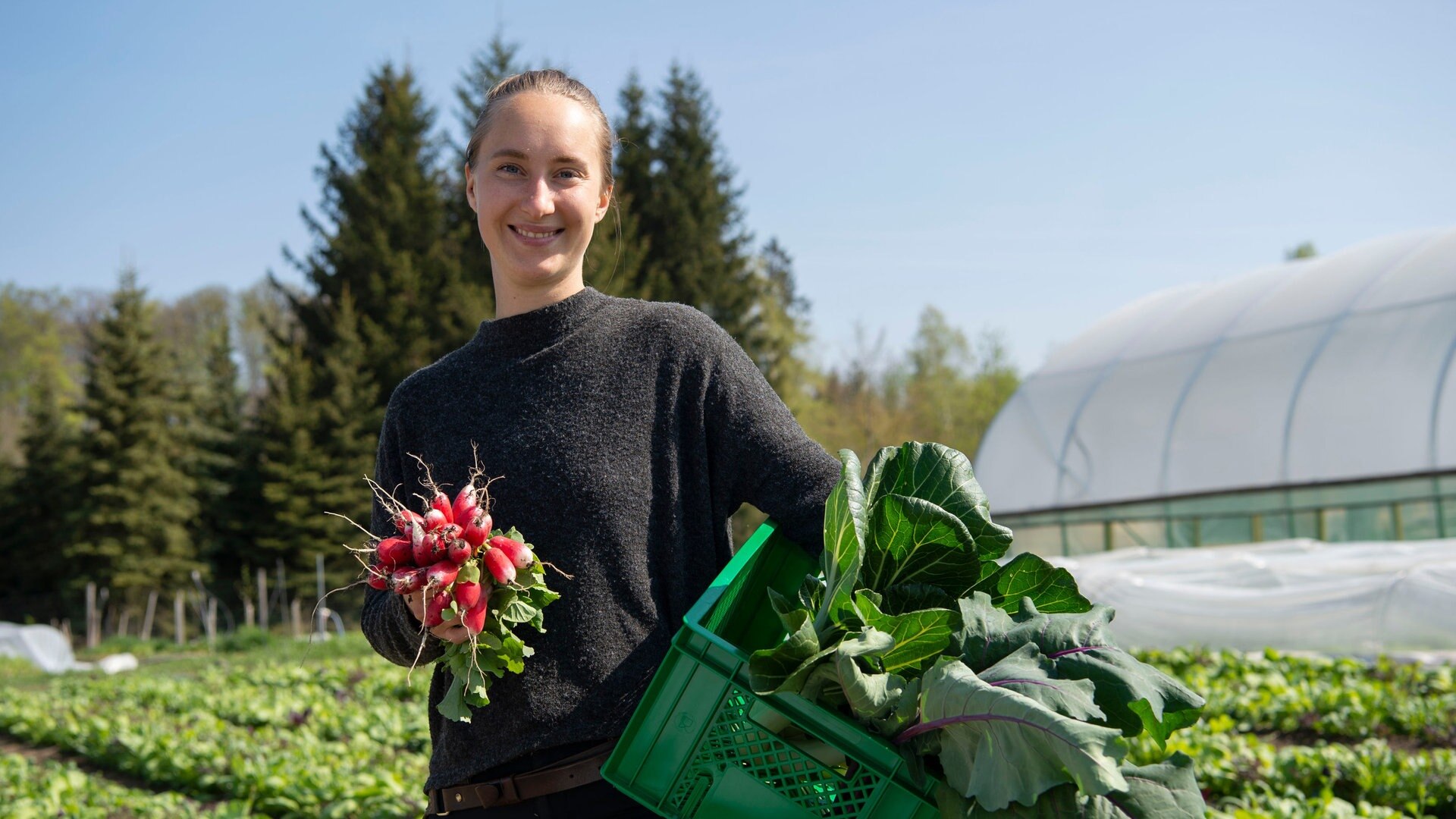 Land & lecker Essbare Landschaften im Sauerland (S21/E04) ARD Mediathek
