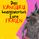 Das Känguru trägt Boxhandschuhe (Grafik: Lena Dickmann | finetype | Fritz)