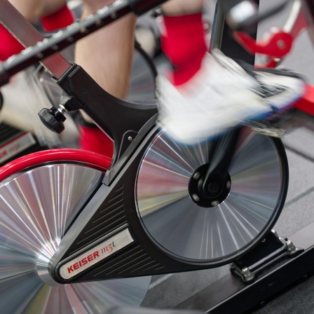 Die Fitness-Branche boomt