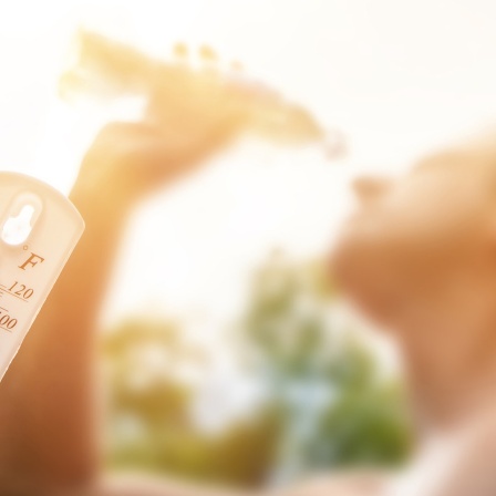 Eine Mann mit freiem Oberkörper trinkt aus einer Flasche. Im Vordergrund ein Thermometer, das mehr als 30 Grad anzeigt.