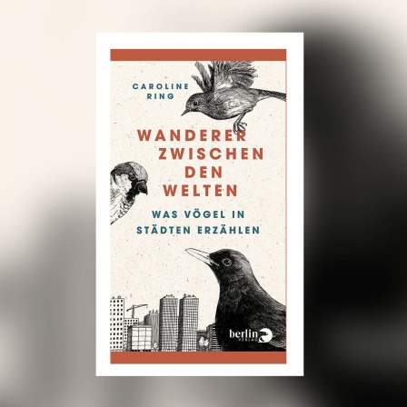 Caroline Ring - Wanderer zwischen den Welten. Was Vögel in Städten erzählen