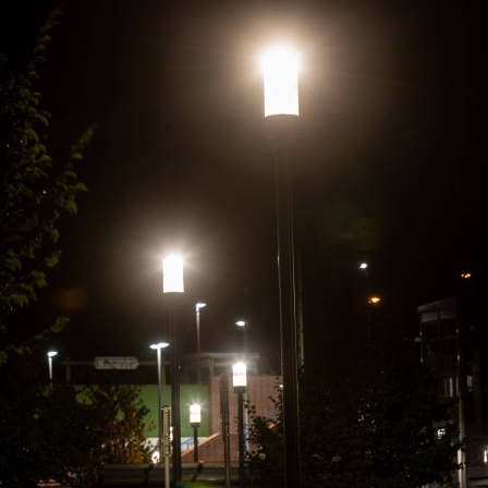Lichtverschmutzung: Selbst nachts gibt es kaum noch dunkle Orte