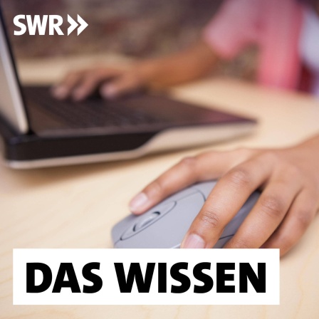 Eine Frau bedient Laptop und Maus: All die Anwendungen der Künstlichen Intelligenz, über die wir im Alltag oft staunen, müssen trainiert werden. Das geschieht oft in armen Ländern. Billige Arbeitskräfte in Kenia etwa bearbeiten Millionen Fotos, Videos und Texte, aus denen die KI lernt.