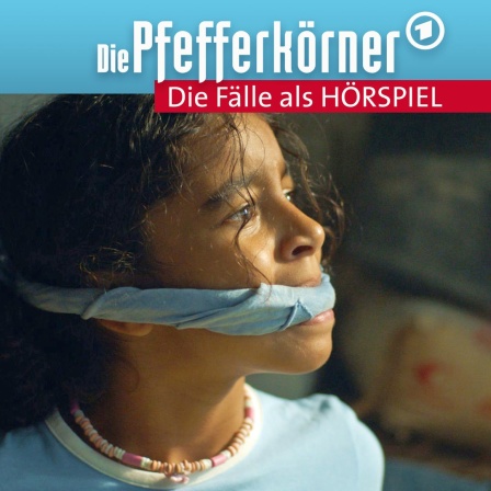 Pfefferkörner-Audio Folge 16: Der Einbruch