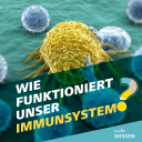 Stilisierte Immunzelle zwischen Krankheitserregern. Schrift: Wie funktioniert unser Immunsystem? Logo: MDR WISSEN