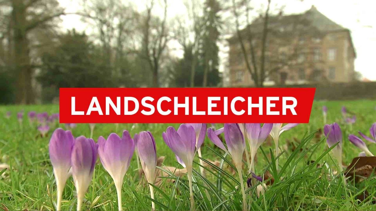 Rbb24 Brandenburg Aktuell: Dahnsdorf | ARD Mediathek