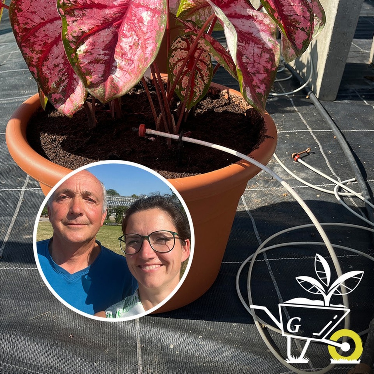 Komm mit in den Garten der ARD GartenPodcast · 37 Automatische