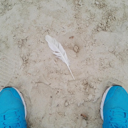 Vogelperspektive auf eine im Sand liegende Feder. Links und rechts im unteren Bildrand die Spitzen blauer Turnschuhe.